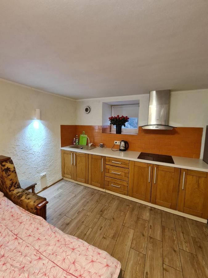 Студіо На Кoновальця Apartment Lviv Luaran gambar
